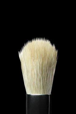 Anastasia A10 Pro Brush Diffuser Brush