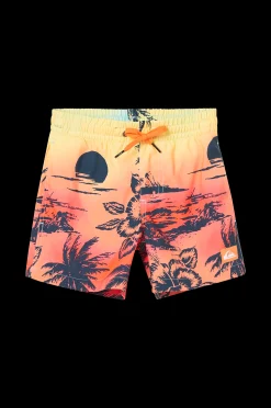 Quiksilver Badshorts Everyday Paradise Vl Youth 14 Flash Sale