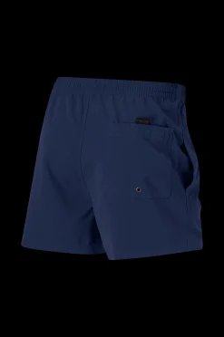 Quiksilver Badshorts Everyday Volley 15 Outlet