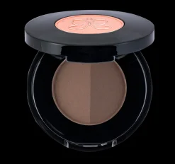 Anastasia Brow Powder Duo