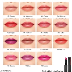 Shiseido Colorgel Lipbalm