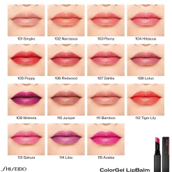 Shiseido Colorgel Lipbalm