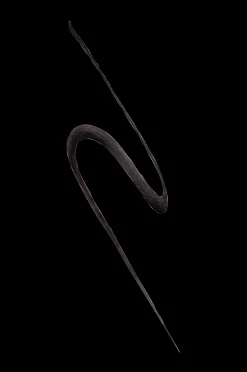 Maybelline Eyeliner Tattoo Liner Liquid Ink