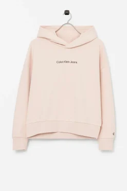 Calvin Klein Huvtroja Ckj Logo Boxy Hoodie Online