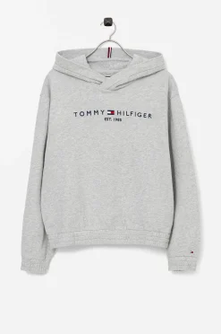 Tommy Hilfiger Huvtroja Essential Hoodie Clearance
