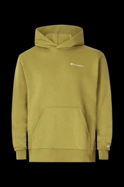 Champion Huvtroja Hooded Sweatshirt Cheap