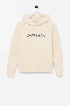Calvin Klein Huvtroja Institutional Logo Hoodie Discount