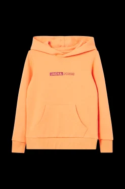 Jack & Jones Huvtroja Jjneo Sweat Hood Best