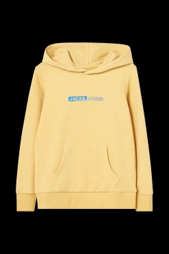 Jack & Jones Huvtroja Jjneo Sweat Hood Cheap