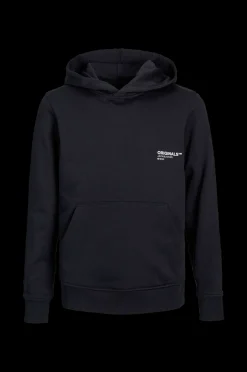 Jack & Jones Huvtroja Jorclean Sweat Hood Jnr Cheap