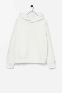 Tommy Hilfiger Huvtroja Ww Dg Signature Hoodie Cheap