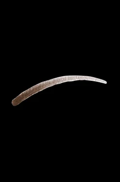 Max Factor Real Brow Fill & Shape