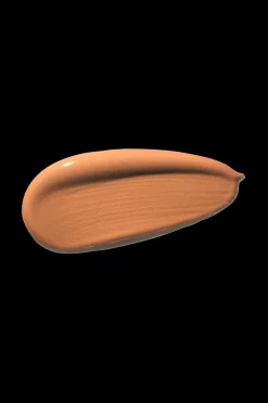 Shiseido Ss Foundation