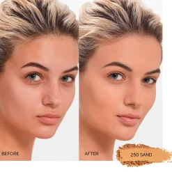 Shiseido Ss Powder Foundation