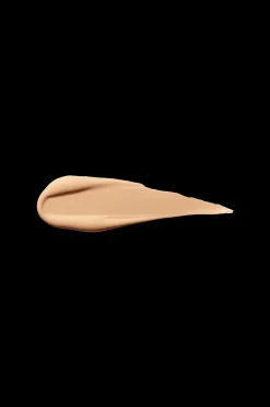 Shiseido Ss Refresh Concealer