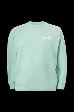 Levi's Sweatshirt Big Relaxed Graphic Crew Plus New