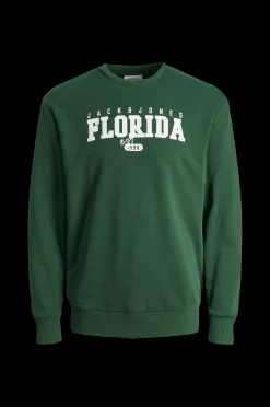 Jack & Jones Sweatshirt Jjcory Sweat Crew Neck Jnr Shop