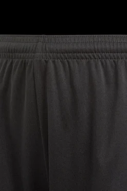 adidas Sport Performance Traningsshorts Squadra 21 Shorts Outlet