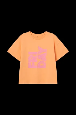 Name it T-Shirt Nkfbalone Ss Loose Short Top Box Clearance